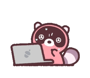 Raccoon Laptop GIF