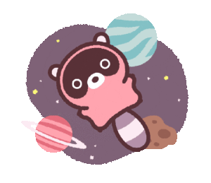 RaccoonSpaceGif